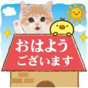 ヒメ日記 2026/05/24 06:21 投稿 小林ゆかり 熟女パラダイス岐阜羽島店（カサブランカグループ）