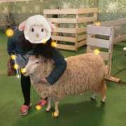 ヒメ日記 2026/02/21 18:25 投稿 ゆづき 千葉松戸ちゃんこ