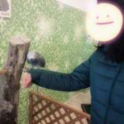 ヒメ日記 2026/02/25 15:32 投稿 ゆづき 千葉松戸ちゃんこ