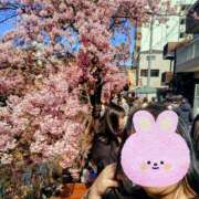 ヒメ日記 2026/03/07 14:26 投稿 ゆづき 千葉松戸ちゃんこ