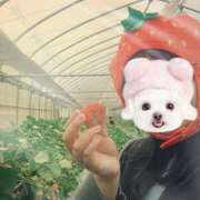 ヒメ日記 2026/03/19 23:33 投稿 ゆづき 千葉松戸ちゃんこ