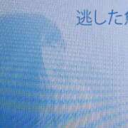 ヒメ日記 2026/02/13 10:34 投稿 色香美沙 五十路マダムエクスプレス横浜店（カサブランカグループ）