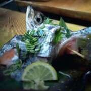 ヒメ日記 2026/02/16 05:03 投稿 色香美沙 五十路マダムエクスプレス横浜店（カサブランカグループ）