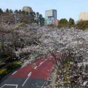 ヒメ日記 2026/03/29 12:46 投稿 南 ゆずは 熟女パラダイス池袋店(カサブランカグループ)