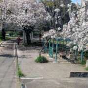 ヒメ日記 2026/04/07 06:21 投稿 南 ゆずは 熟女パラダイス池袋店(カサブランカグループ)