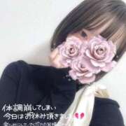 よな よな（エコ日本橋店） スピードエコ日本橋店