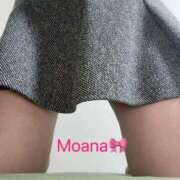 ヒメ日記 2026/03/21 16:30 投稿 もあな 兵庫加東小野ちゃんこ