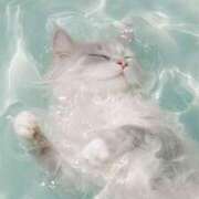 ひめか 本日も20時から出勤です！ 横浜シンデレラ（シンデレラグループ）