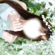 いおり ( •̀ᄇ• ́)ﻭ✧ CECIL