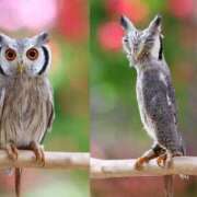 ヒメ日記 2026/02/15 17:17 投稿 まこと アラビアンナイト