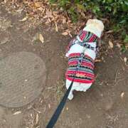 ヒメ日記 2026/02/17 16:59 投稿 まこと アラビアンナイト