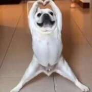 ヒメ日記 2026/02/23 12:03 投稿 まこと アラビアンナイト