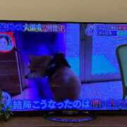 ヒメ日記 2026/03/01 17:36 投稿 まこと アラビアンナイト