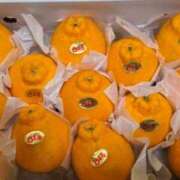 ヒメ日記 2026/03/04 17:31 投稿 まこと アラビアンナイト