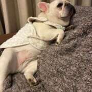 ヒメ日記 2026/03/08 18:17 投稿 まこと アラビアンナイト