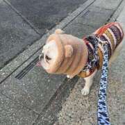 まこと 向かってまーす アラビアンナイト