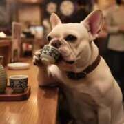 ヒメ日記 2026/04/17 17:21 投稿 まこと アラビアンナイト