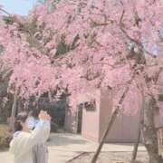 ヒメ日記 2026/03/16 18:02 投稿 空　そら 本庄人妻城