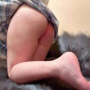 ヒメ日記 2026/03/13 16:49 投稿 ふわり ちゃんこ幕張店