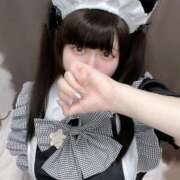 ヒメ日記 2026/03/14 07:15 投稿 ふわり ちゃんこ幕張店