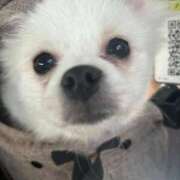 ヒメ日記 2026/02/16 21:01 投稿 KUREA GINGIRA☆TOKYO～ギンギラ東京～