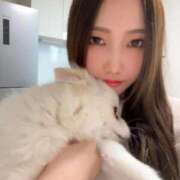 ヒメ日記 2026/02/17 15:16 投稿 KUREA GINGIRA☆TOKYO～ギンギラ東京～