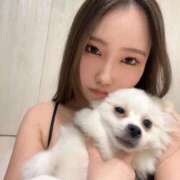 ヒメ日記 2026/03/04 17:37 投稿 KUREA GINGIRA☆TOKYO～ギンギラ東京～