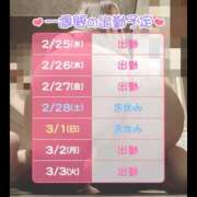 ヒメ日記 2026/02/26 07:42 投稿 さゆり ハピネス水戸