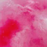 ヒメ日記 2026/02/21 14:54 投稿 うさ 埼玉ちゅっぱ大宮店