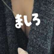 ヒメ日記 2026/02/15 06:59 投稿 ましろ 兵庫加東小野ちゃんこ