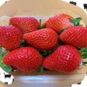 ヒメ日記 2026/02/26 22:25 投稿 ましろ 兵庫加東小野ちゃんこ