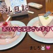 ヒメ日記 2026/08/03 02:25 投稿 ましろ 兵庫加東小野ちゃんこ