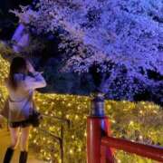 ヒメ日記 2026/03/25 17:35 投稿 楪カレン ニューハーフヘルス シーメールレジェンド 新宿 歌舞伎町店