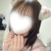 ヒメ日記 2026/02/20 19:39 投稿 ひかる アイドルドリーム