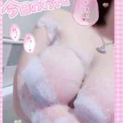 ヒメ日記 2026/02/12 19:55 投稿 みなみ 新宿本店 ぽちゃカワ女子専門店