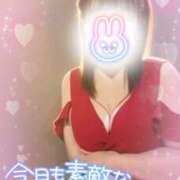 ヒメ日記 2026/03/20 12:00 投稿 ふじこ モアグループ 土浦人妻花壇