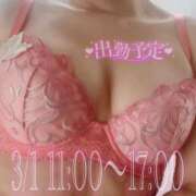 美崎 3/1🌸11:00〜17:00 会いに来てね♡ 鶯谷人妻城