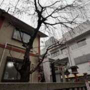 らな 次回の出勤🦸‍♀️らな 一力茶屋