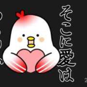 ヒメ日記 2026/03/08 19:37 投稿 みひろ 熟女家 堺東店