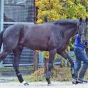 ヒメ日記 2026/04/05 20:06 投稿 みひろ 熟女家 堺東店