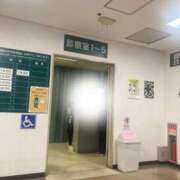 ヒメ日記 2026/05/08 15:07 投稿 みひろ 熟女家 堺東店