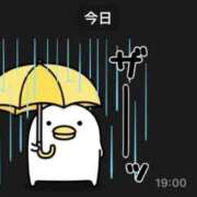 ヒメ日記 2026/06/07 10:17 投稿 みひろ 熟女家 堺東店