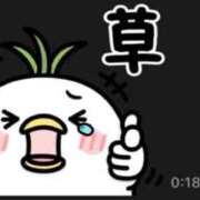 ヒメ日記 2026/08/13 15:37 投稿 みひろ 熟女家 堺東店