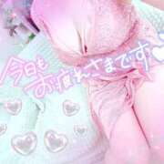 ヒメ日記 2026/02/16 19:05 投稿 りんか 谷町豊満奉仕倶楽部