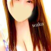 ヒメ日記 2026/03/26 20:52 投稿 わか☆ 豊橋豊川ちゃんこ