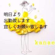 ヒメ日記 2026/02/17 14:02 投稿 堤佳苗 五十路マダムエクスプレス横浜店（カサブランカグループ）