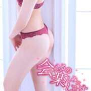 ヒメ日記 2026/02/13 07:32 投稿 わかめ【極上スタイル美女】 ポニーテール和歌山店