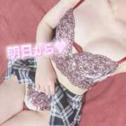 ヒメ日記 2026/02/26 07:42 投稿 わかめ【極上スタイル美女】 ポニーテール和歌山店