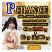 わかめ【極上スタイル美女】 限定🉐 ポニーテール和歌山店