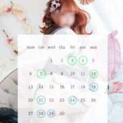 ヒメ日記 2026/03/27 08:32 投稿 わかめ【極上スタイル美女】 ポニーテール和歌山店